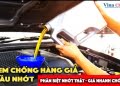 tem chống giả dầu nhớt, tem chống giả, dầu nhớt giả