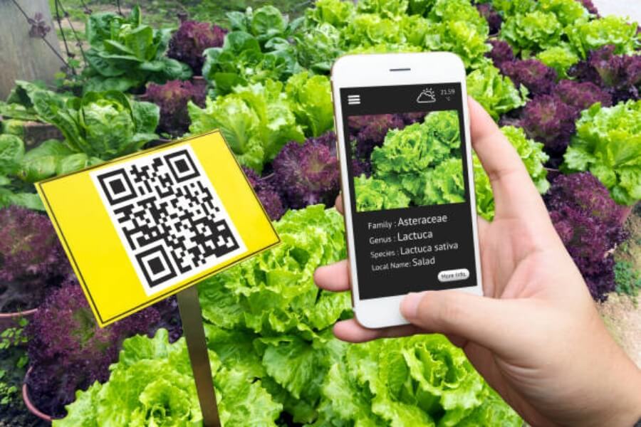 Truy xuất nguồn gốc sản phẩm qua mã QR Code