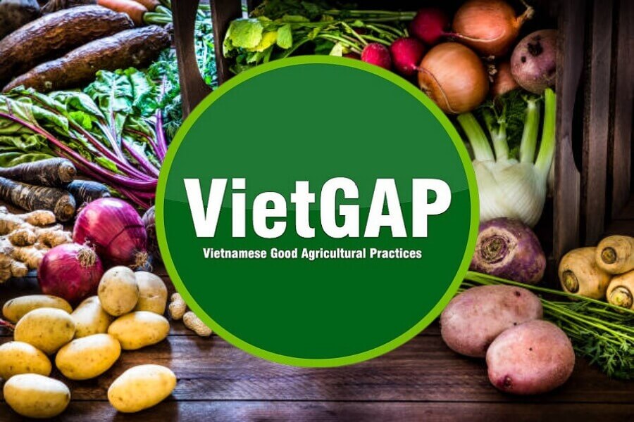 Vietgap