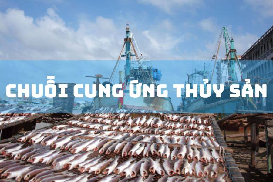 Chuỗi cung ứng thủy sản