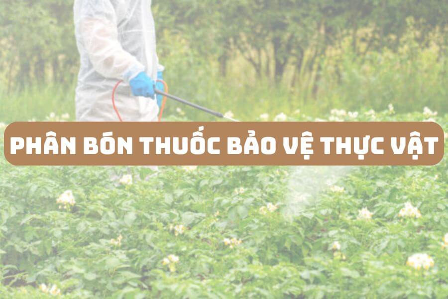 Phân bón thuốc bảo vệ thực vật giả