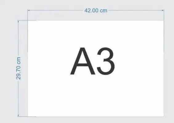 A3
